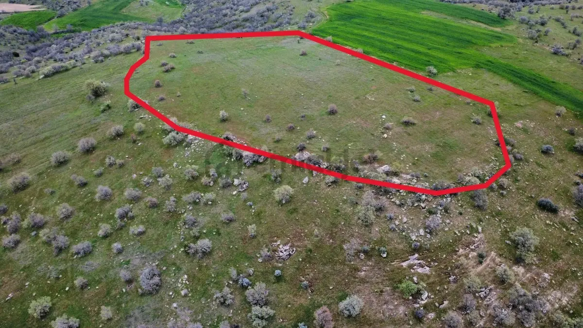 Uşak Eşme Kayalı Köyünde Satılık Tarla - 16