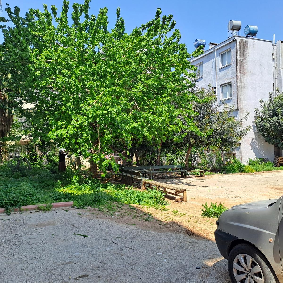 Asyadan Çiftçiler Caddesi Üzerinde 3+1 Satılık - 33