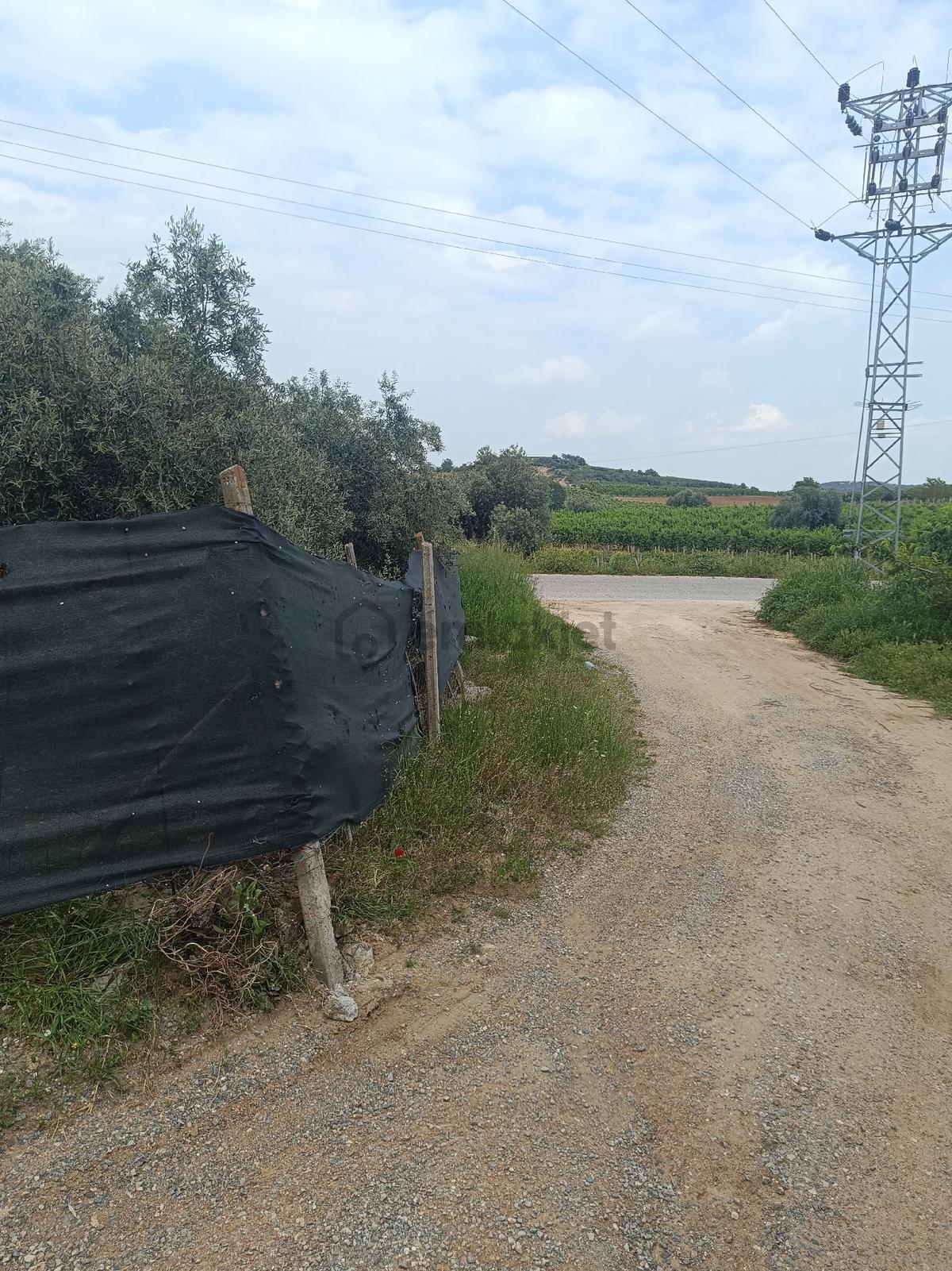 Sahibinden Tarsus İbrişim Köyünde Satılık Bahçe - 28