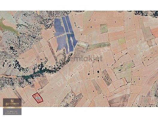 Burdur Kozluca'da Satılık 4500 M² Tek Tapu Tarla - 21