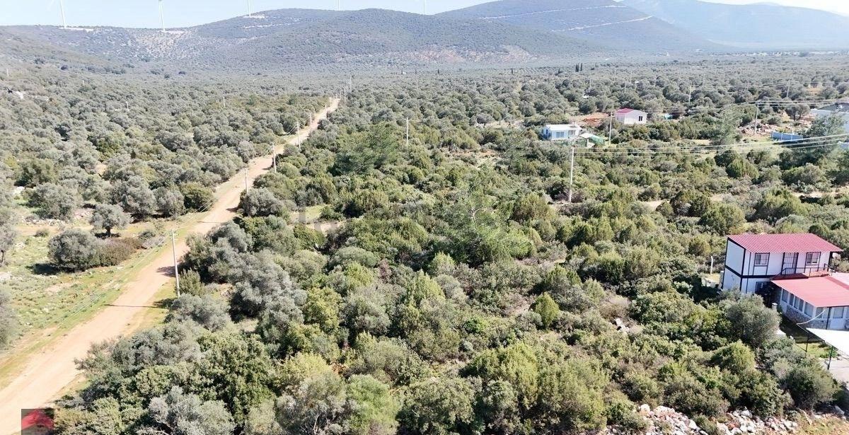 Didim Kardelen Mevki De Satılık Kelepir Arsa - 8