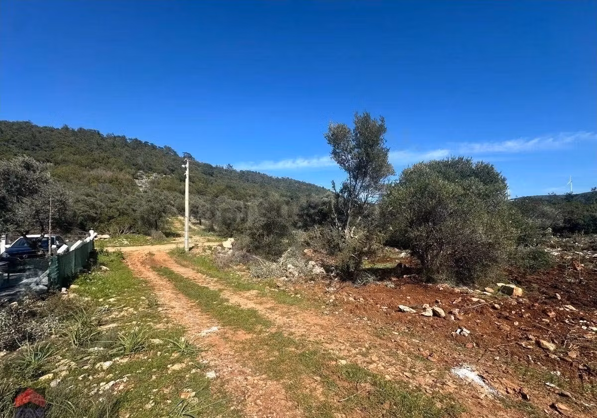 Didim Kardelen Mevki De Satılık Kelepir Arsa - 13