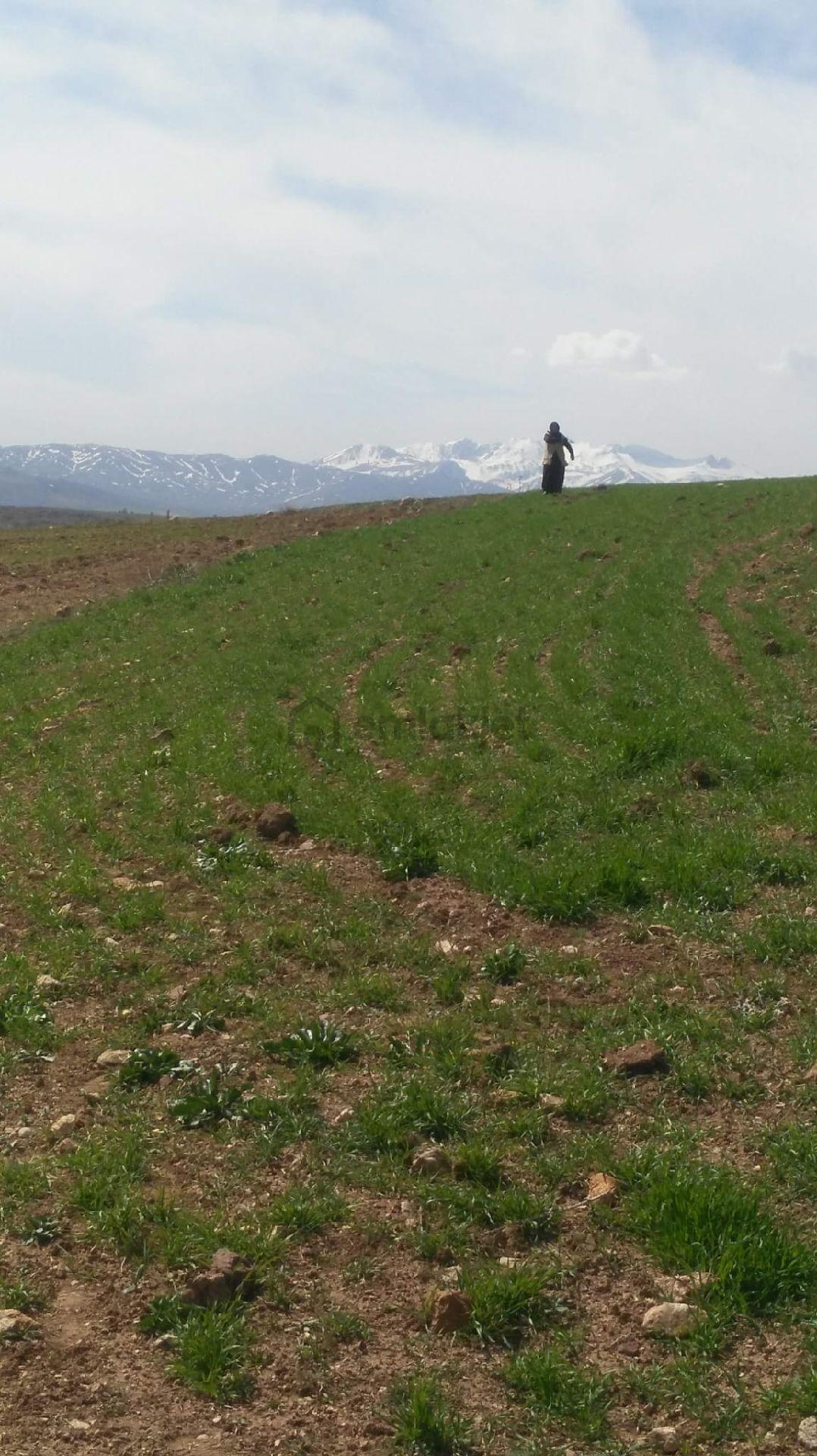 Sahibinden ...satılık... Kayseri Pınarbaşı... - 4