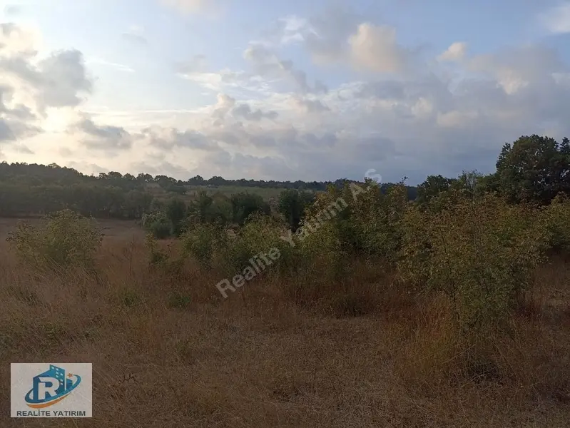 Kavakdere'de Yola Cephe Satılık 316m² Tarla - 3
