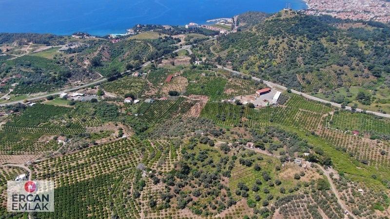 Özdere'de Satılık 1900 M² Tek Tapu Bahçe - 8
