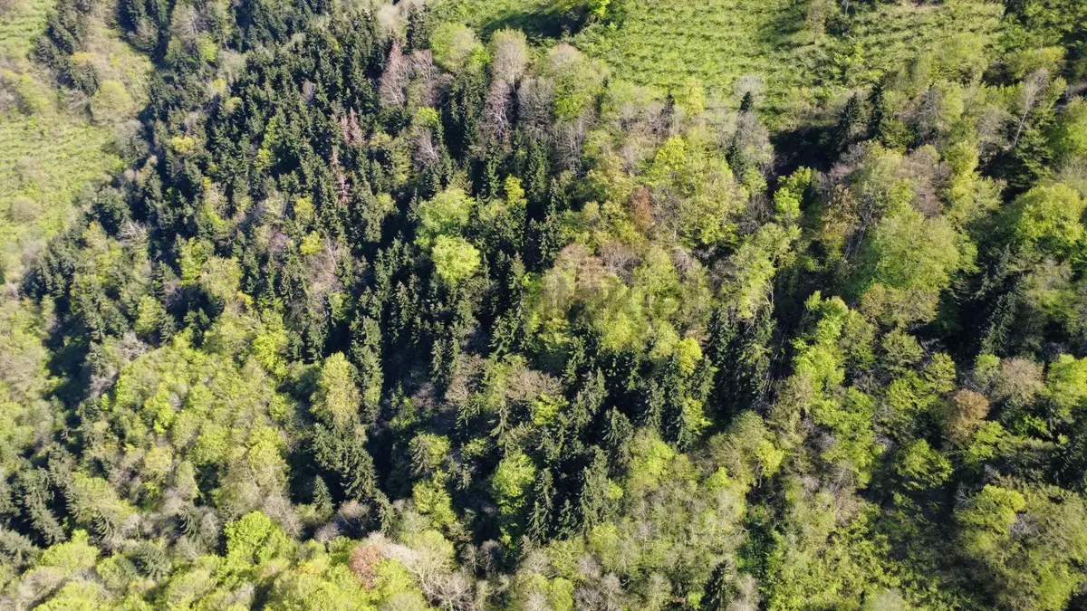 Trabzon'da Satılık Arazi - 15