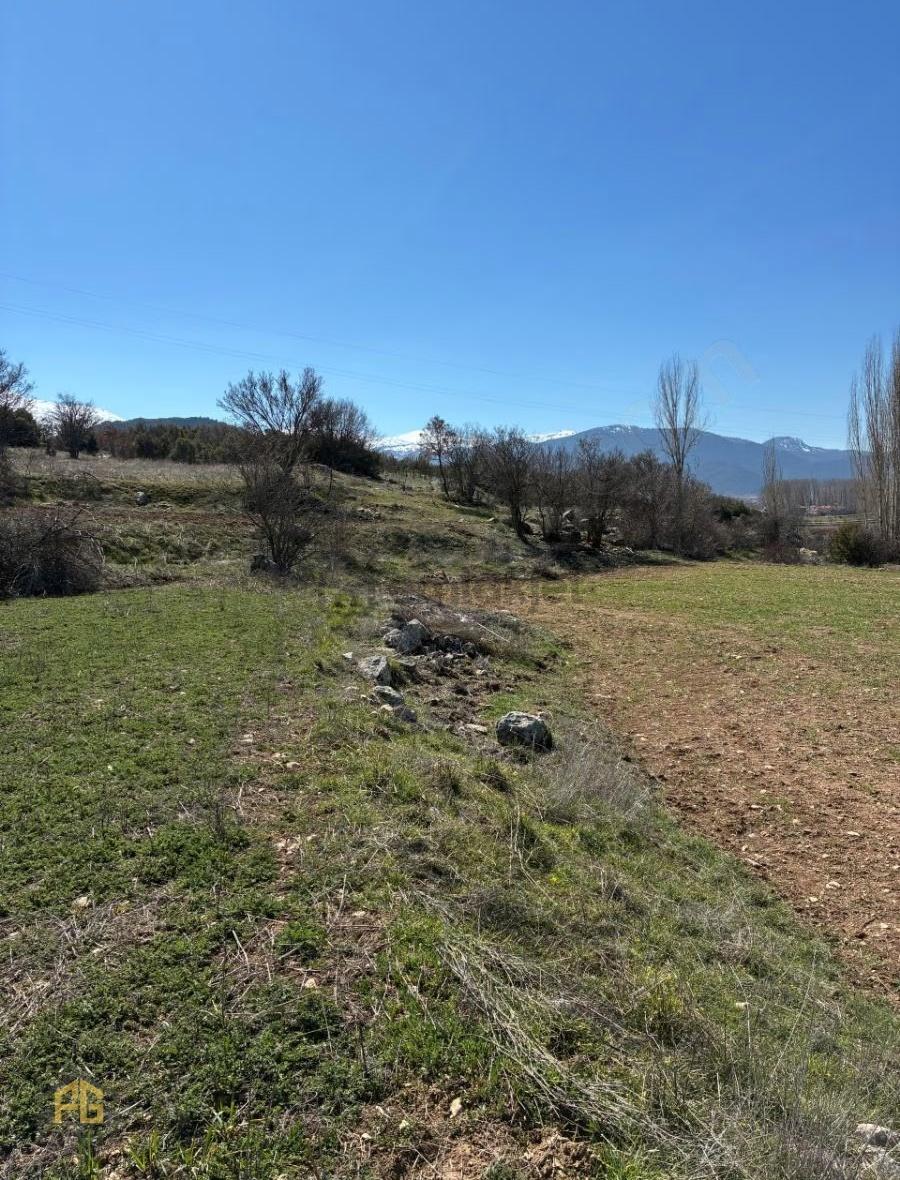 Seydikemer Sekide Satılık Tek Tapu 2.458m2 Arazi - 5