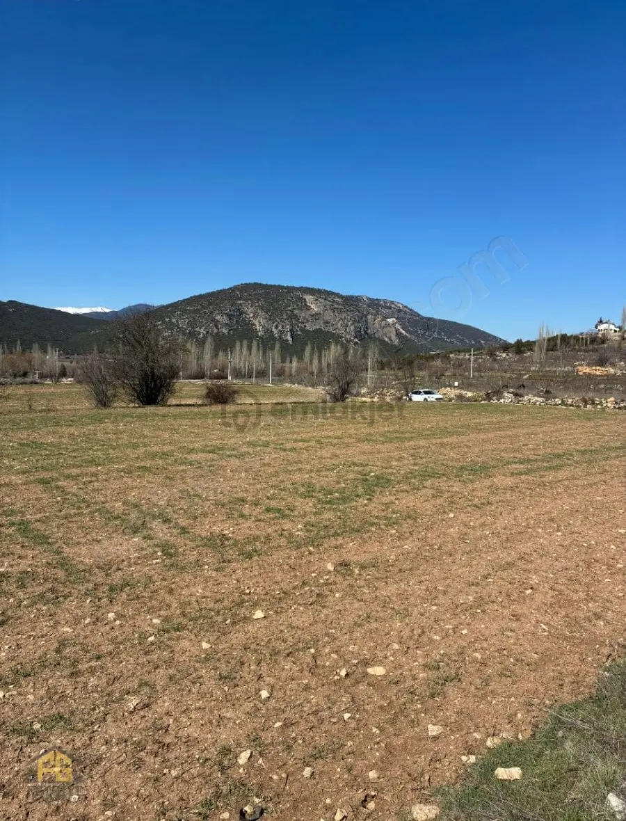 Seydikemer Sekide Satılık Tek Tapu 2.458m2 Arazi - 3