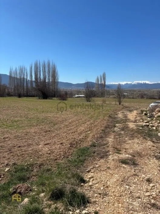 Seydikemer Sekide 2.458 M² Tek Tapu Fırsat Arazi - 14