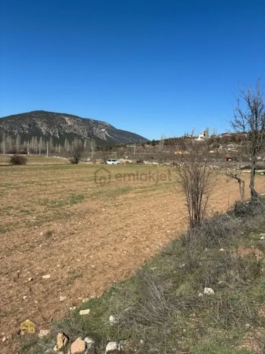 Seydikemer Sekide 2.458 M² Tek Tapu Fırsat Arazi - 7