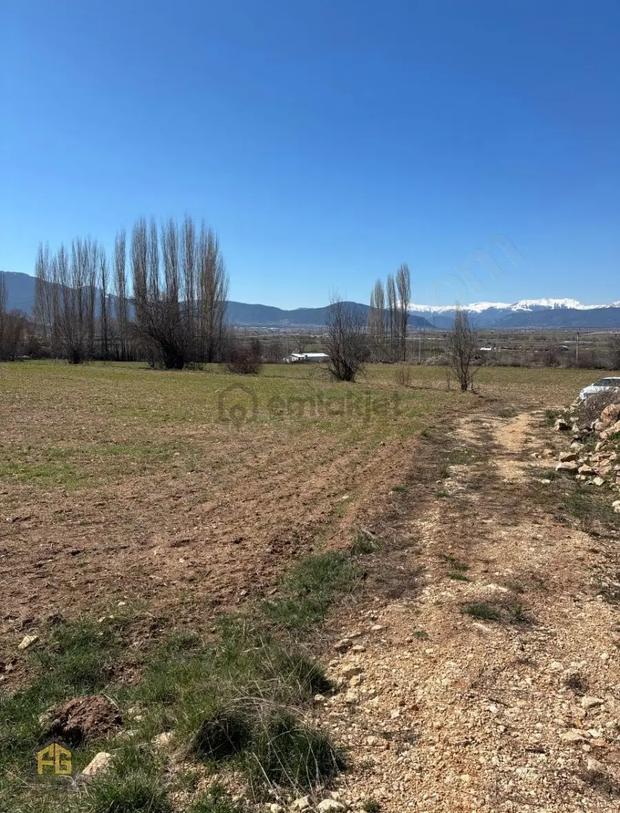 Seydikemer Sekide Satılık Tek Tapu 2.458m2 Arazi - 12
