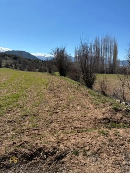Seydikemer Sekide 2.458 M² Tek Tapu Fırsat Arazi - 18