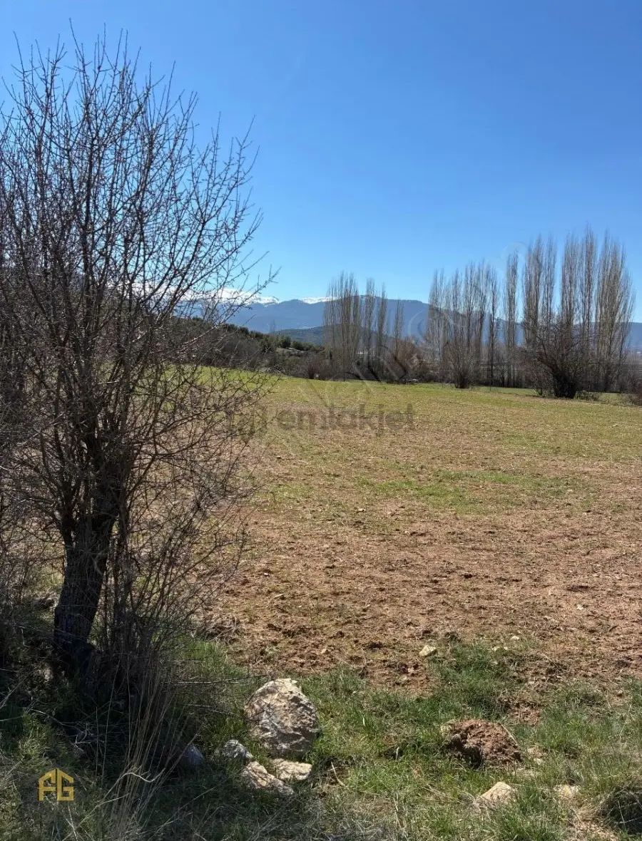 Seydikemer Sekide Satılık Tek Tapu 2.458m2 Arazi - 14