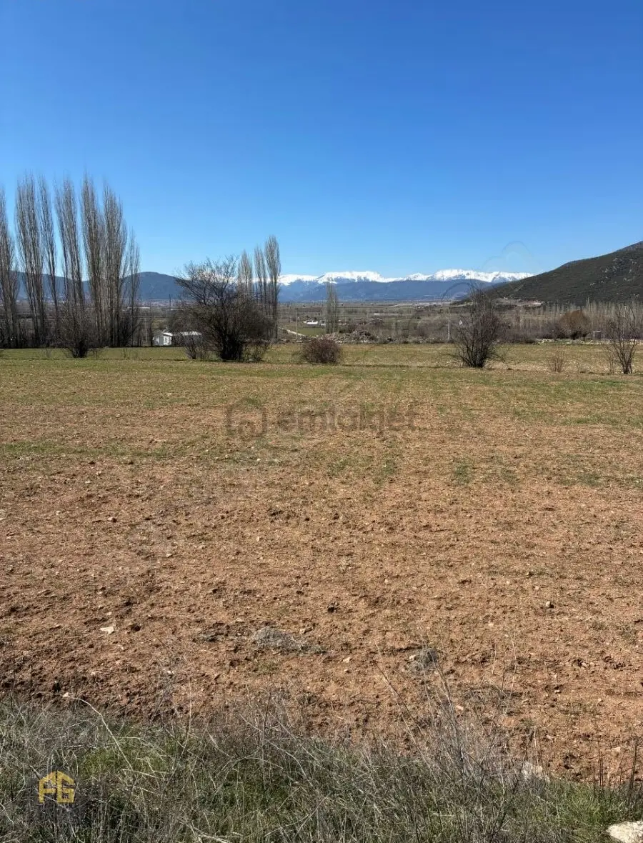 Seydikemer Sekide Satılık Tek Tapu 2.458m2 Arazi - 10