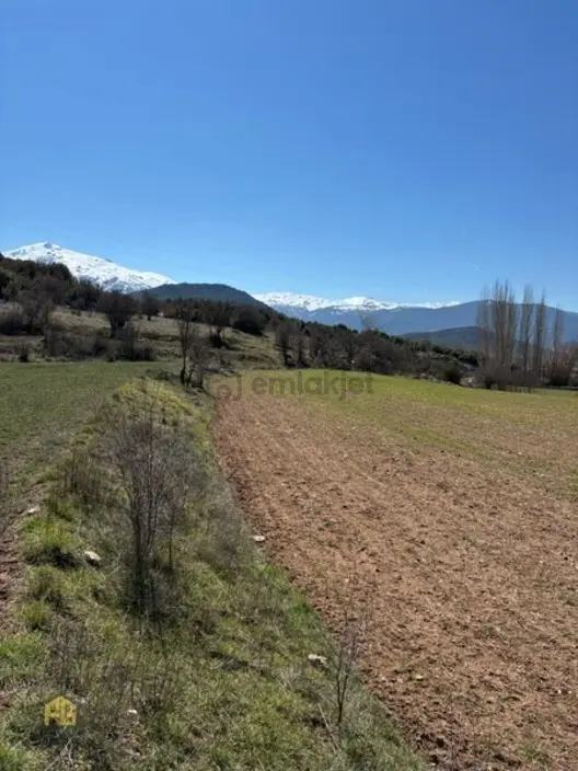 Seydikemer Sekide 2.458 M² Tek Tapu Fırsat Arazi - 10