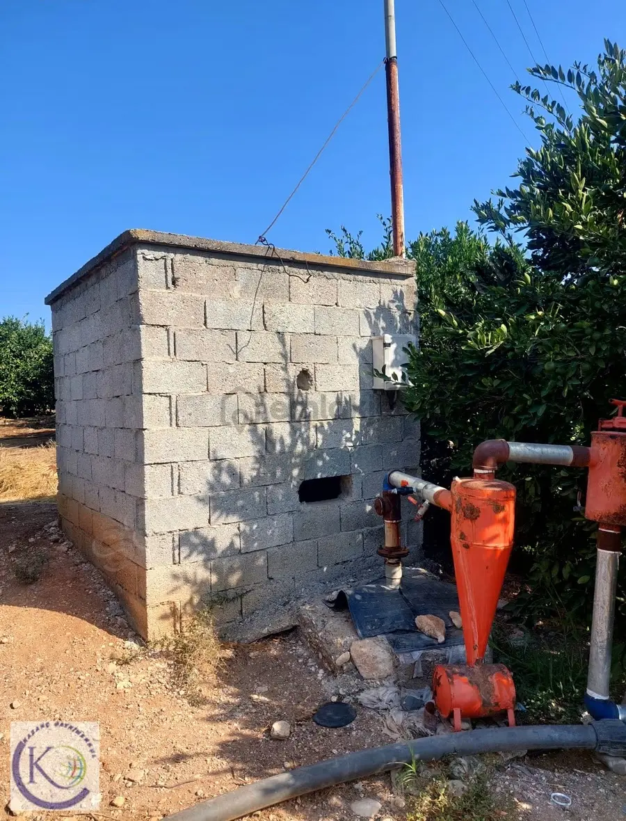 Akdam Köyü'nde Satılık 4.833 M Bakımlı Bahçe