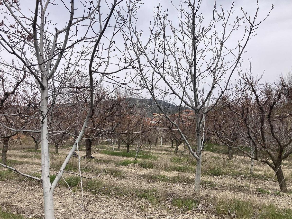 Korkuteli Sülekler Merkezde İçerisinde Evi Olan Bahçe ! - 29