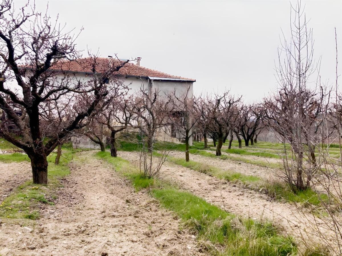 Korkuteli Sülekler Merkezde İçerisinde Evi Olan Bahçe ! - 31