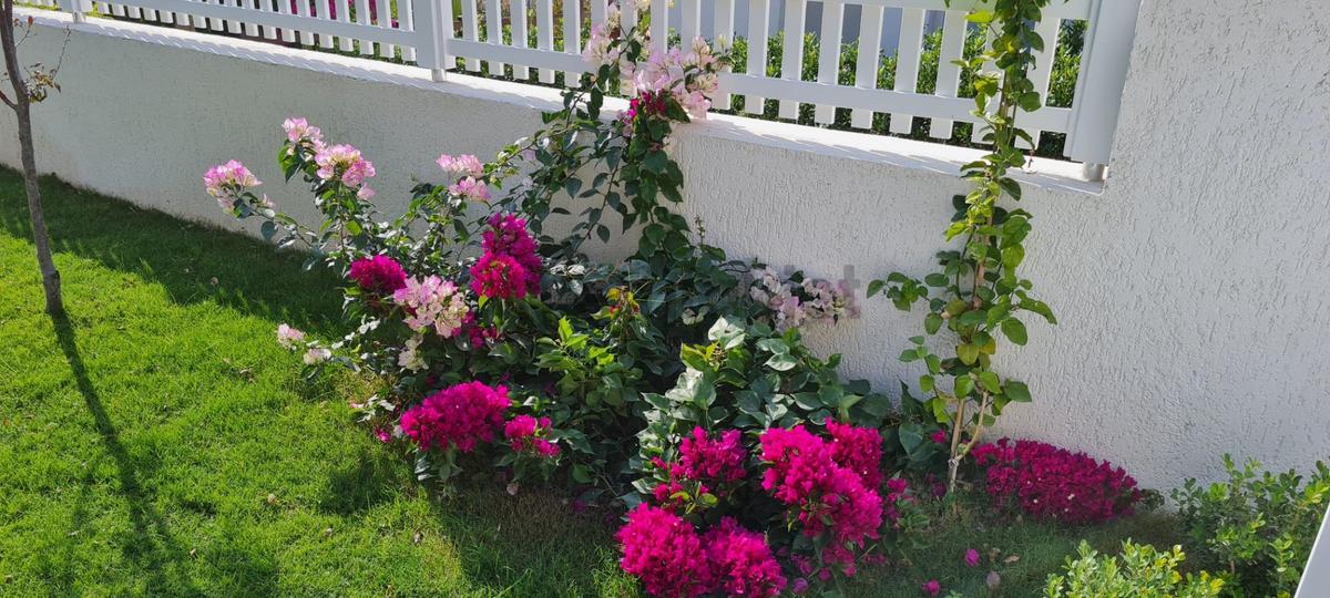 Muğla Bodrum Site İçinde Satılık Bahçe Katı - 29
