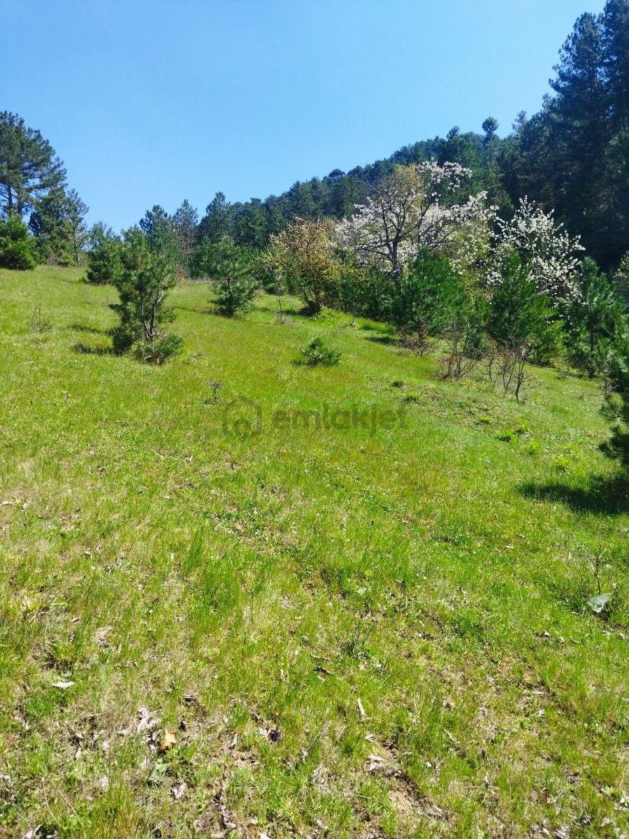 Orhaneli Göynükbelen'de Satılık Tarla 5.219 M2 - 20