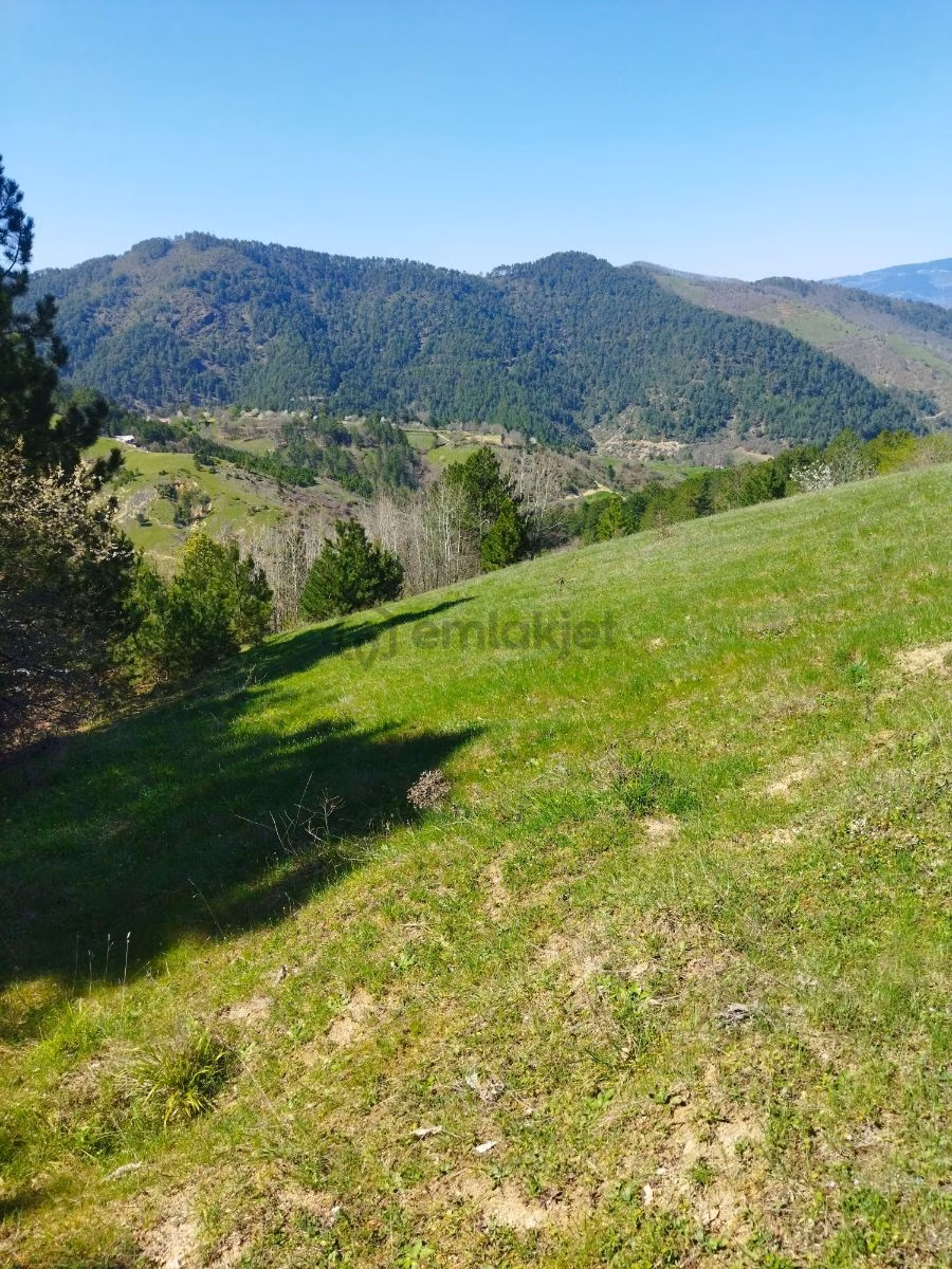 Orhaneli Göynükbelen'de Satılık Tarla 5.219 M2 - 8
