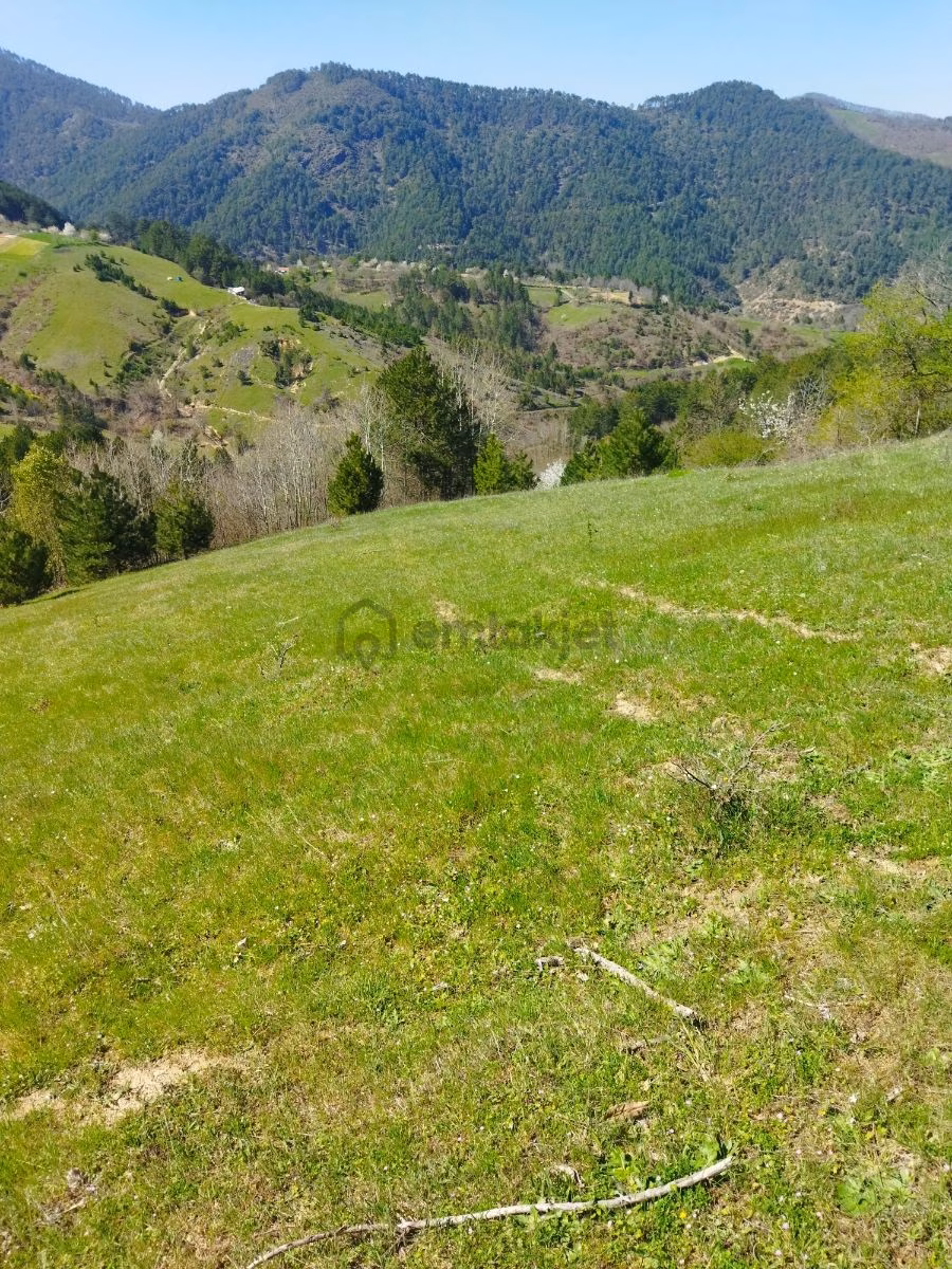 Orhaneli Göynükbelen'de Satılık Tarla 5.219 M2 - 3