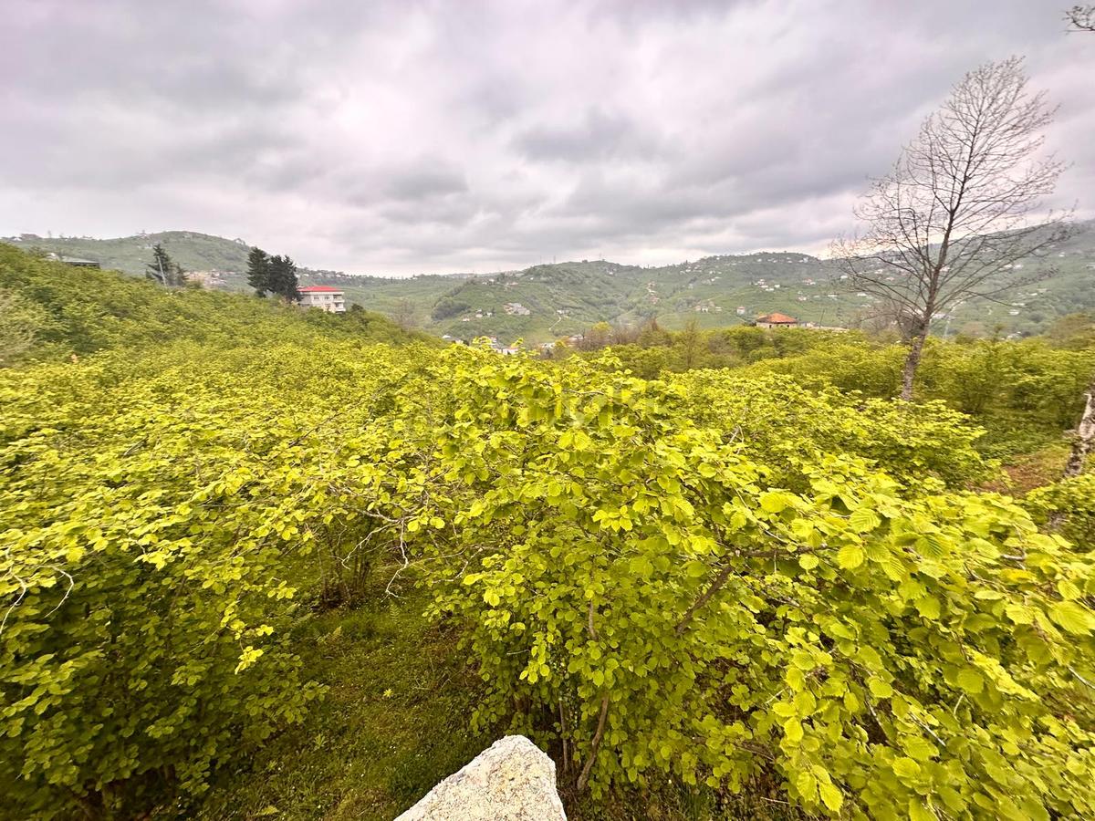 Trabzon Yomra'da Satılık Arsa (taş Duvarı Yapılmış) - 14