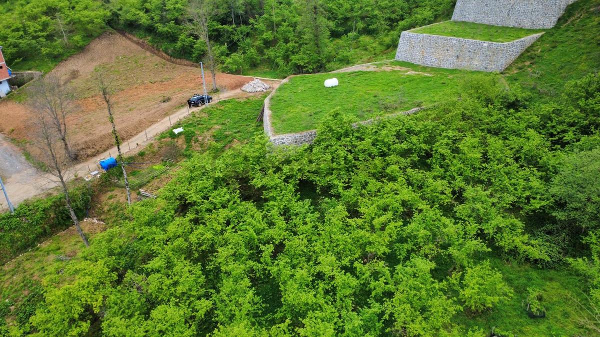 Trabzon Yomra'da Satılık Arsa (taş Duvarı Yapılmış) - 7