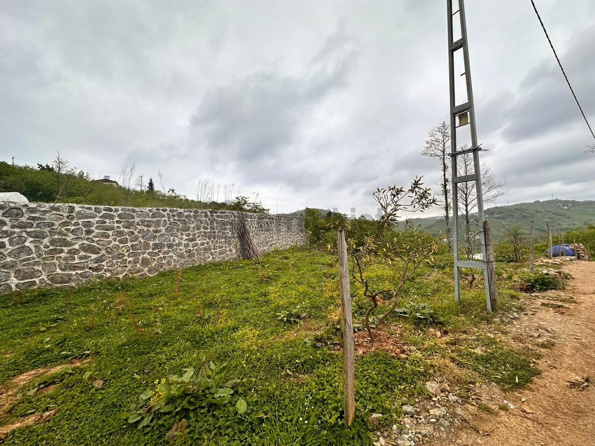 Trabzon Yomra'da Satılık Arsa (taş Duvarı Yapılmış) - 20