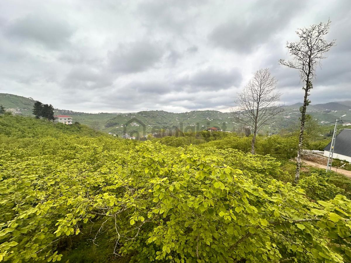 Trabzon Yomra'da Satılık Arsa (taş Duvarı Yapılmış) - 11