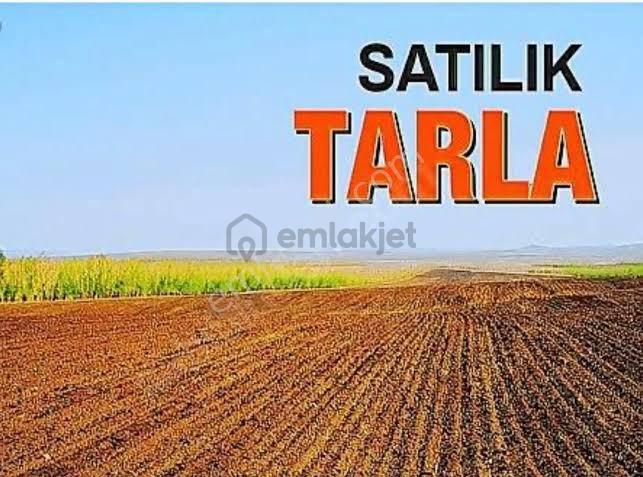 Gölbaşı Yaylabagda Satılık Arsa - 3