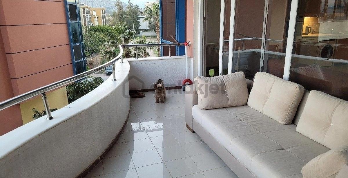 Denize Sıfır 2+1 Daire - 24