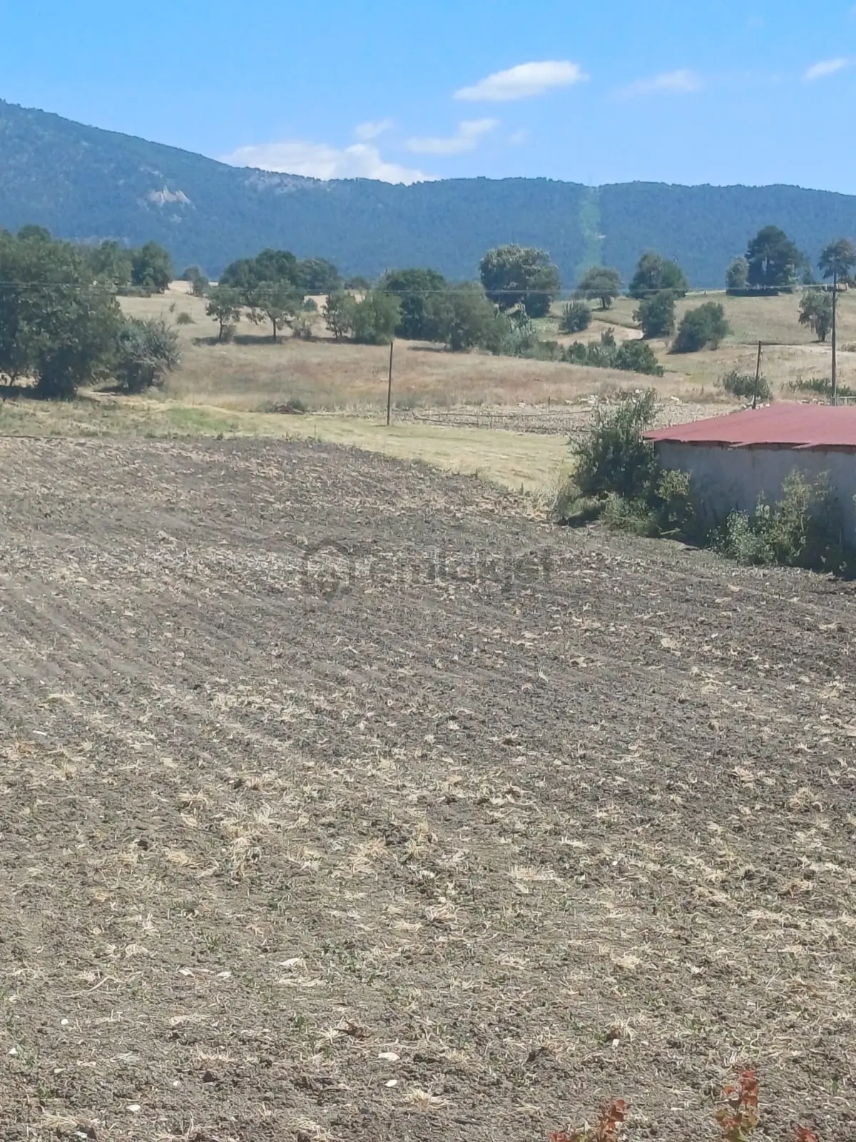 Balıkesir Dursunbey Hamzacık 4448m2 Satılık Tarla