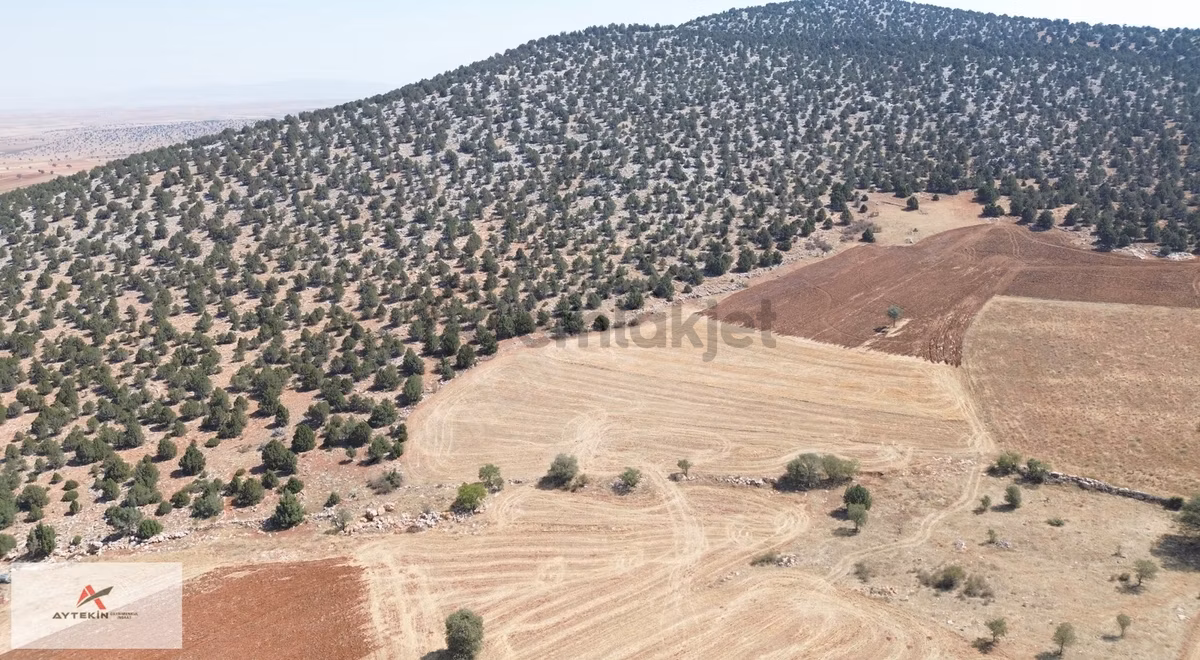 Konya Akören Alan Mahallesinde 4.809 M² Müstakil Tarla - 3