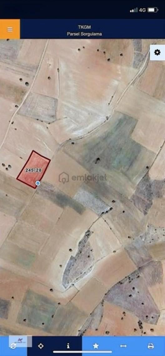 Yenidoğan'da 3.627m2 Müstakil Tapulu Arazi - 9
