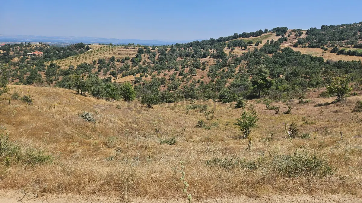 Eşme Karaahmetli 'de Satılık Tarla - 6