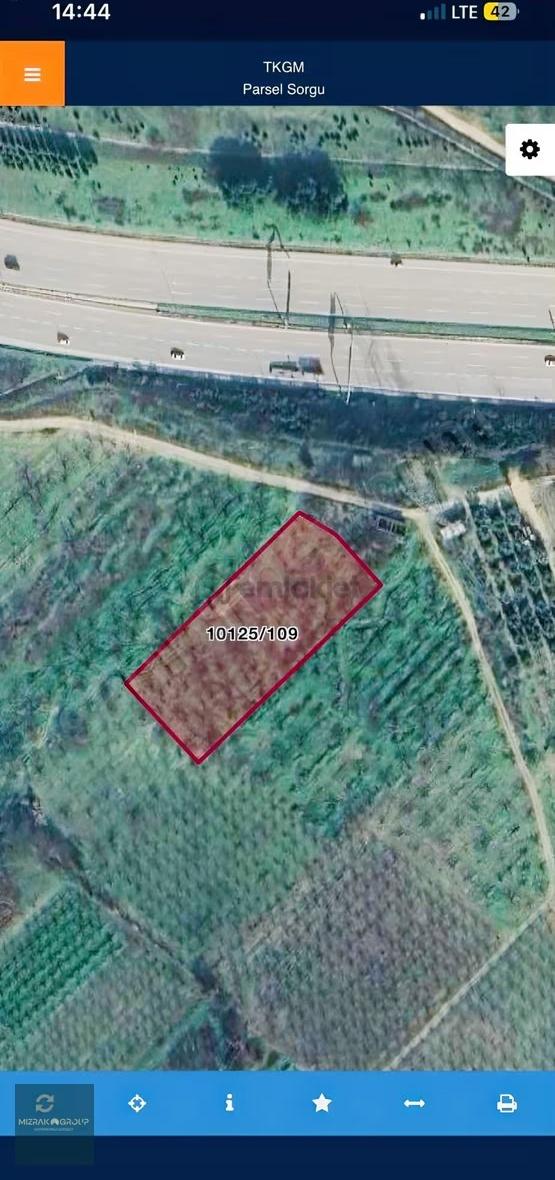 Çağlayan Da 3340 M2 İncir Bahçesi - 8