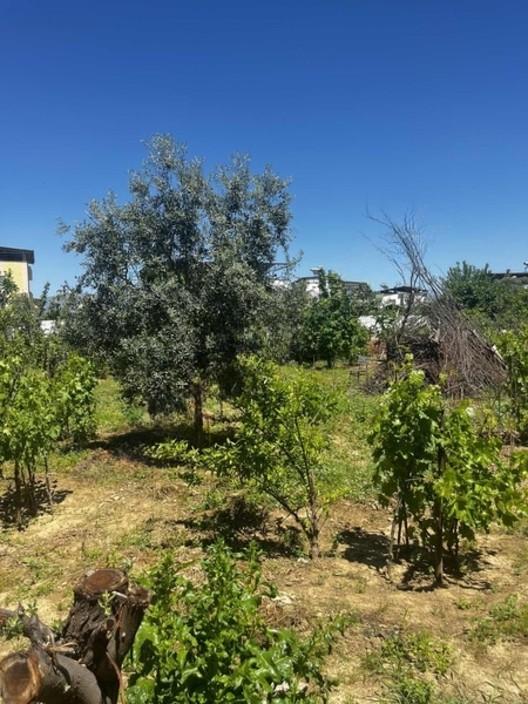 Sümer Mahallesinde Yatırımlık 639m2 İmarlı Arsa - 4