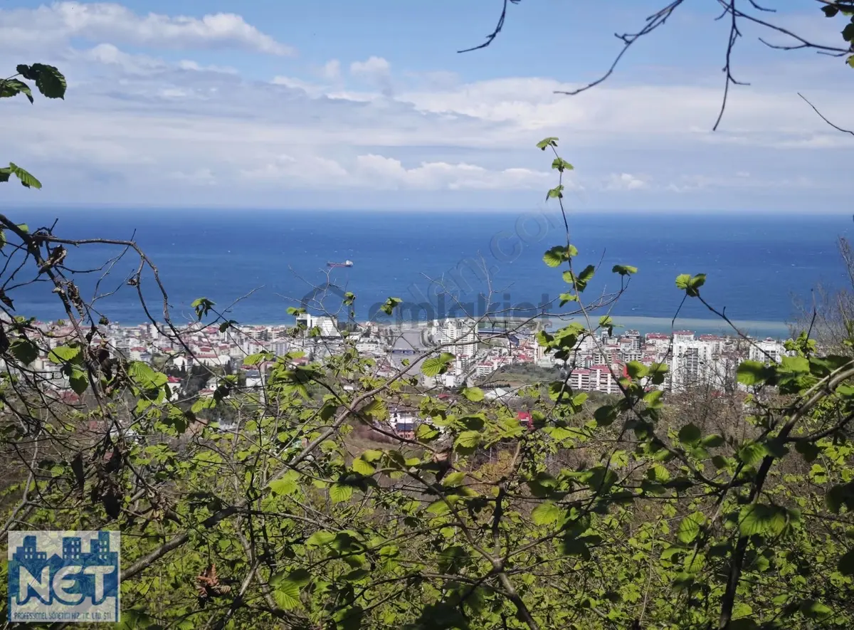 Net Profesyonel Emlak'tan Satılık Deniz Manzaralı Arsa - 5