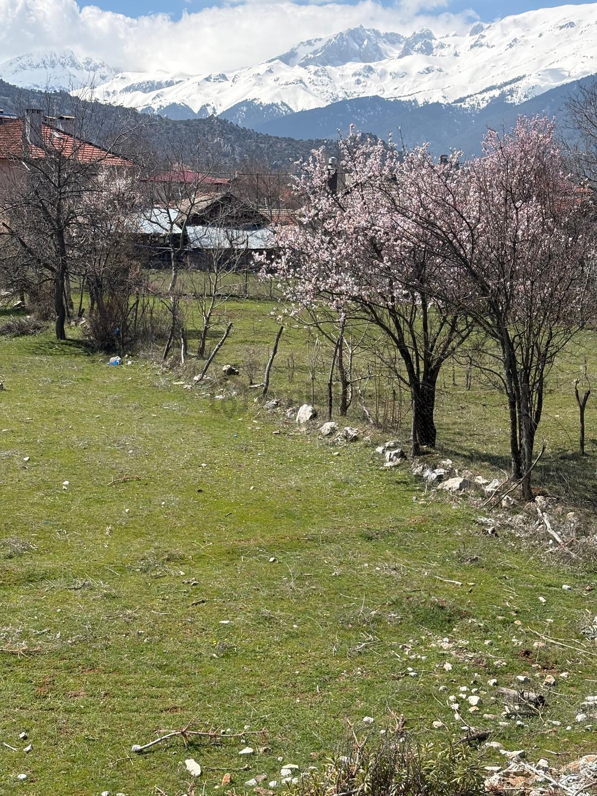 Sahibinden Konya Beyşehir Kurucuova Da İmarlı Arsa - 3