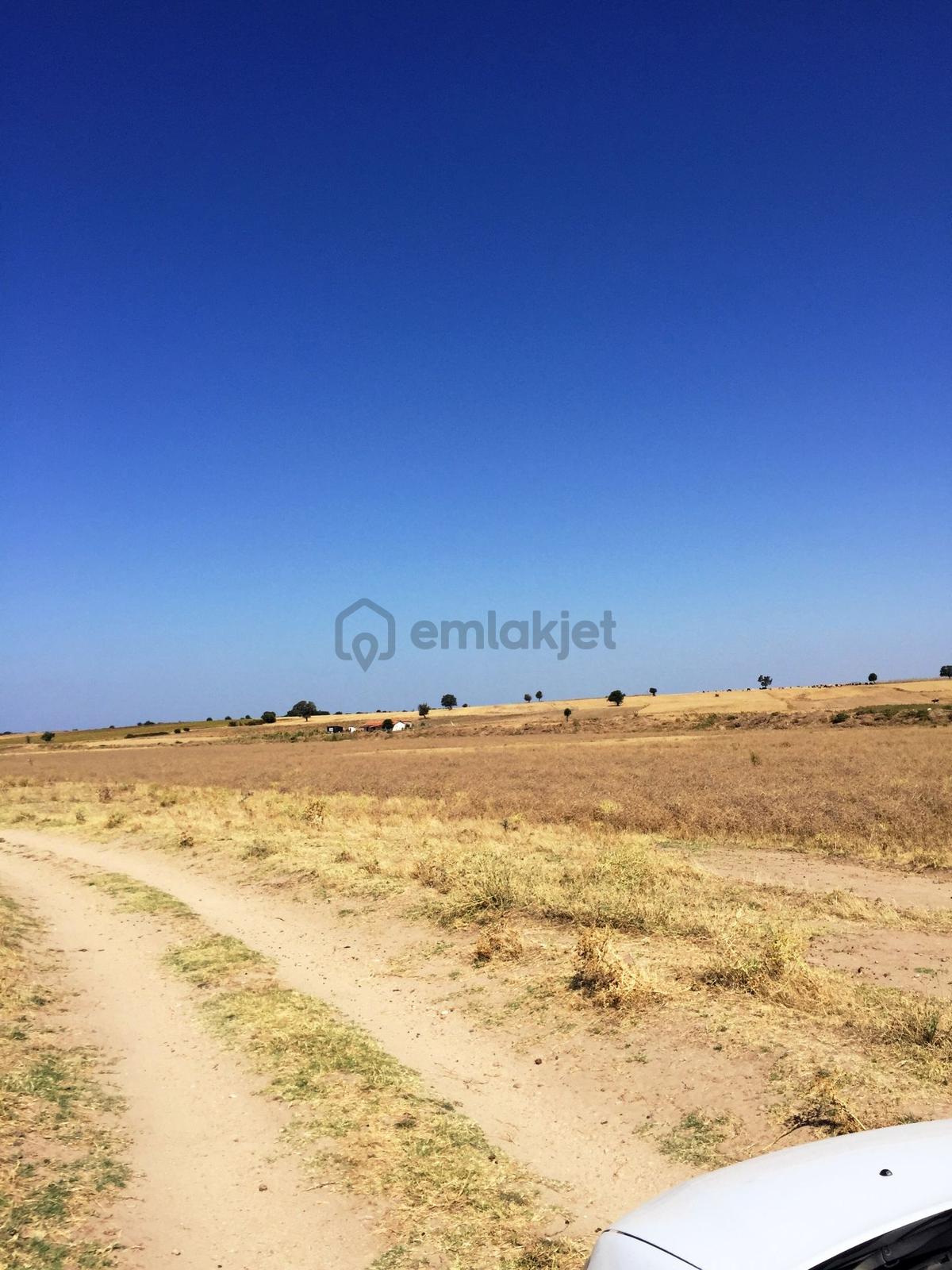 Keşan-enez Yoluna 3 Km 1.836m2 Asfalta 2.parsel Satılık Arsa - 5