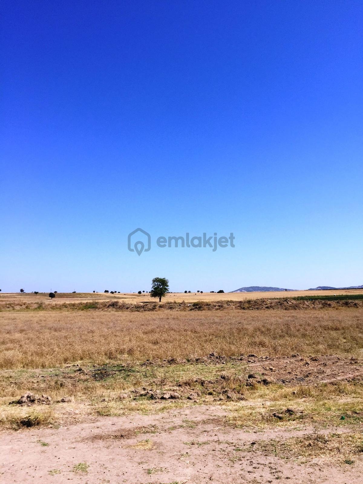 Keşan-enez Yoluna 3 Km 1.836m2 Asfalta 2.parsel Satılık Arsa - 7