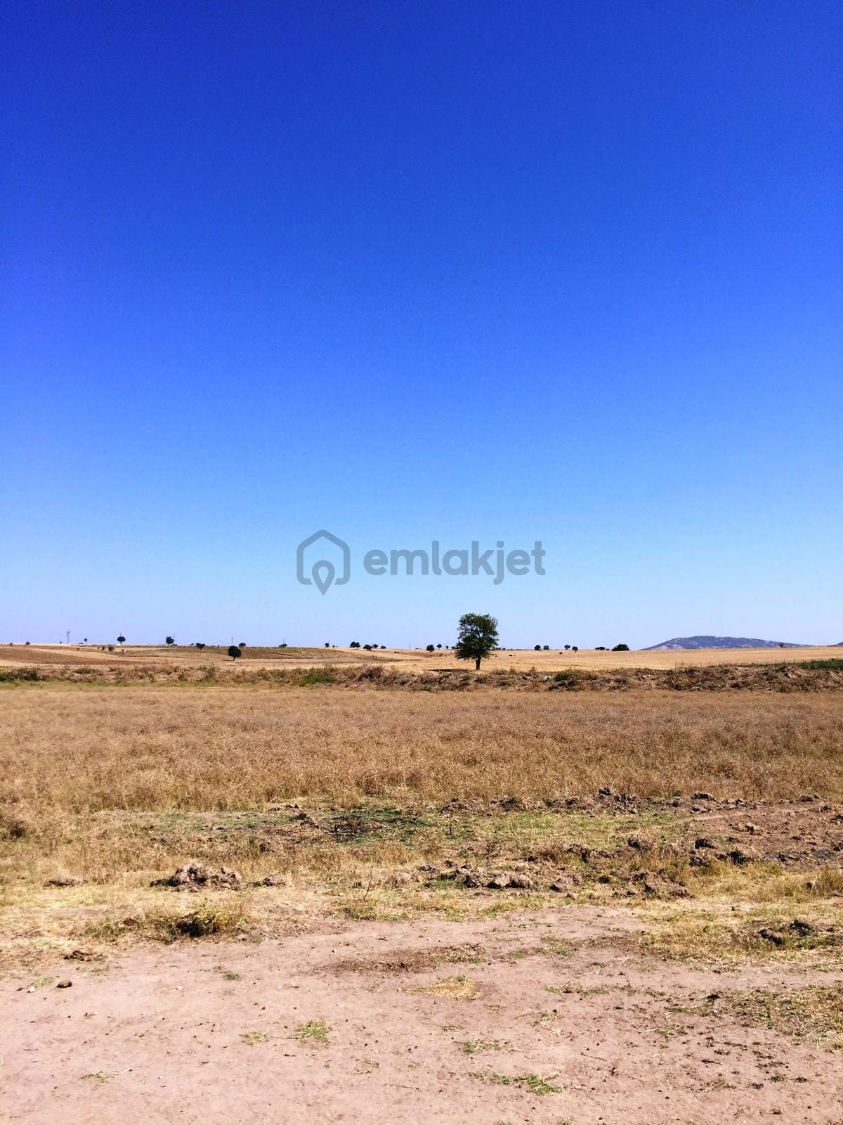 Keşan-enez Yoluna 3 Km 1.836m2 Asfalta 2.parsel Satılık Arsa - 6