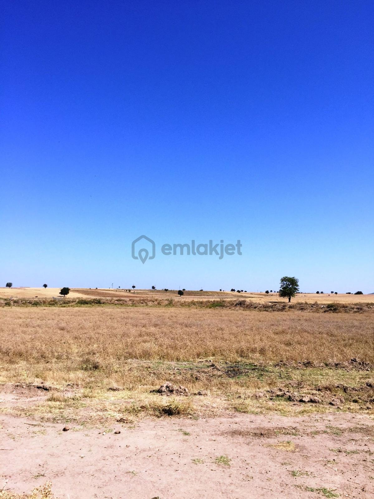 Keşan-enez Yoluna 3 Km 1.836m2 Asfalta 2.parsel Satılık Arsa - 8