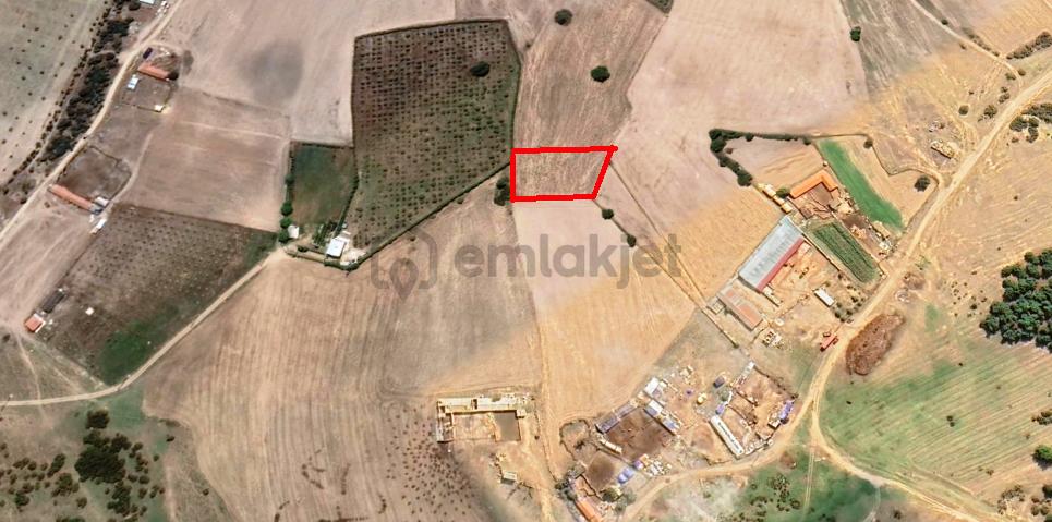 Keşan-enez Yoluna 3 Km 1.836m2 Asfalta 2.parsel Satılık Arsa - 18