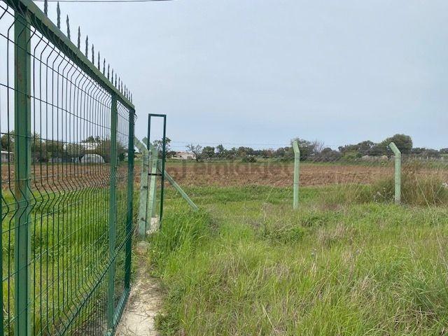 İzmir Çeşme Germiyan'da Denize Yakın 1090 M2 Arazi - 4