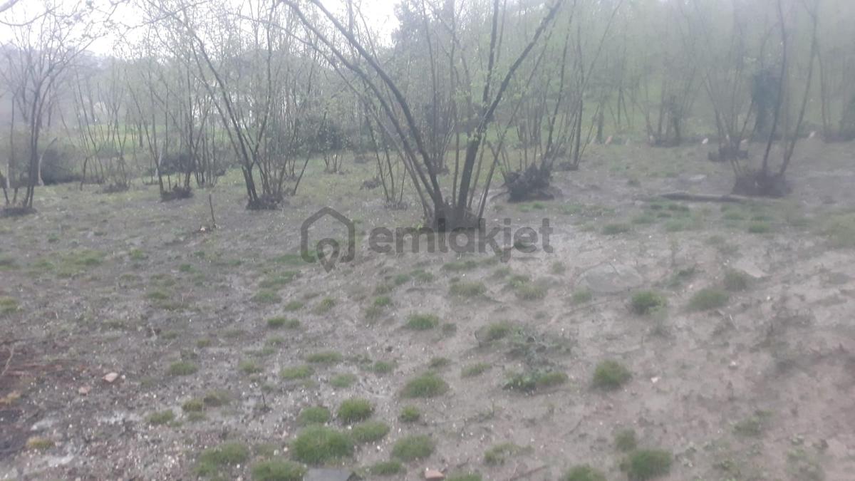 Sahibinden Kuzuluk Topçusırtı'nda 853m² İmarlı Arsa - 9