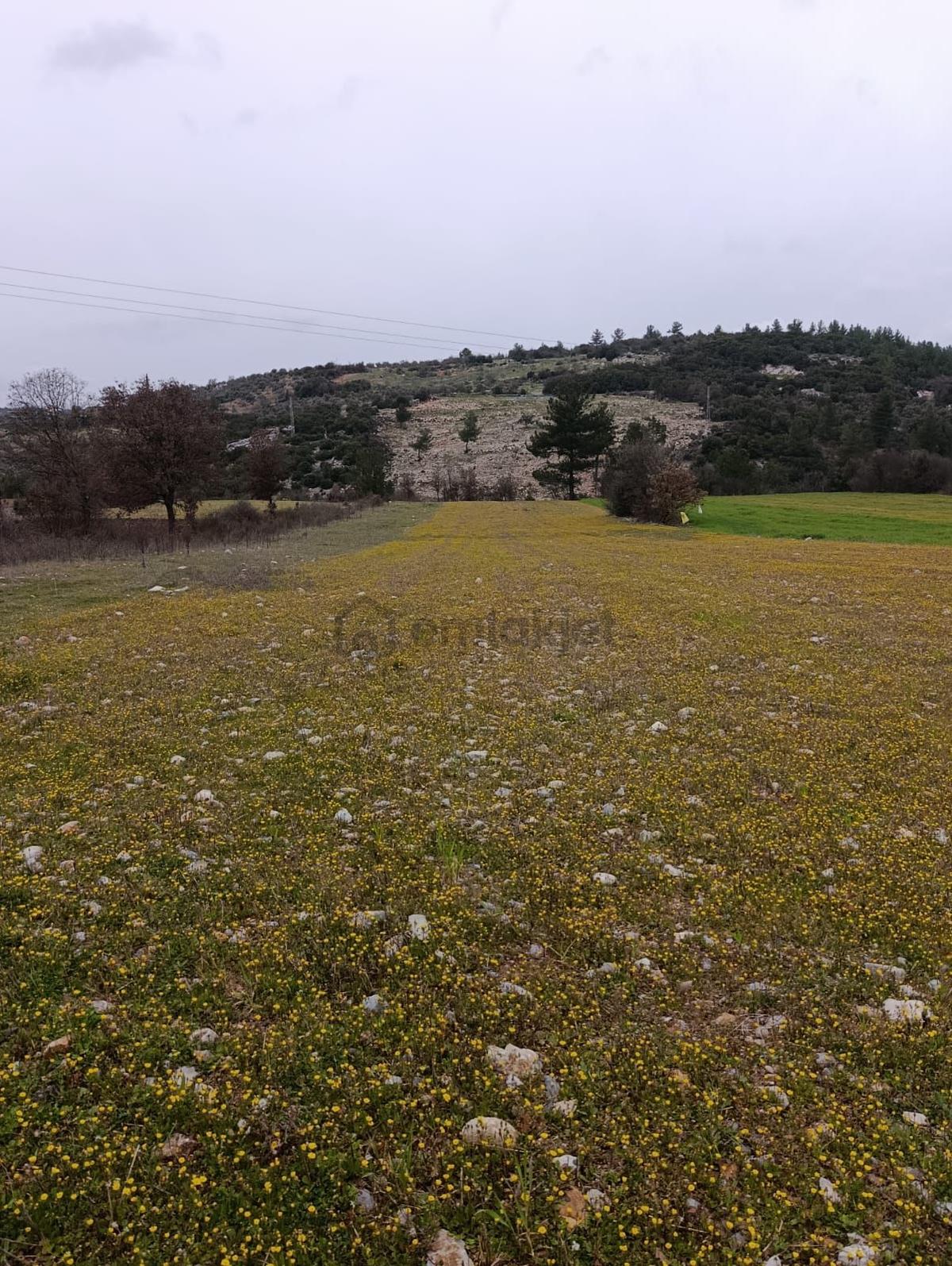Sahibinden Satılık Tarla - 5