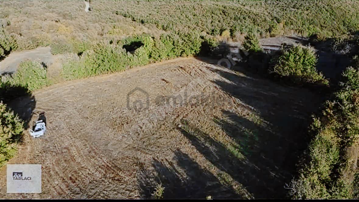 Öztarlacıdan Akarca Resmı Yola Cephe 12500 M2 - 17