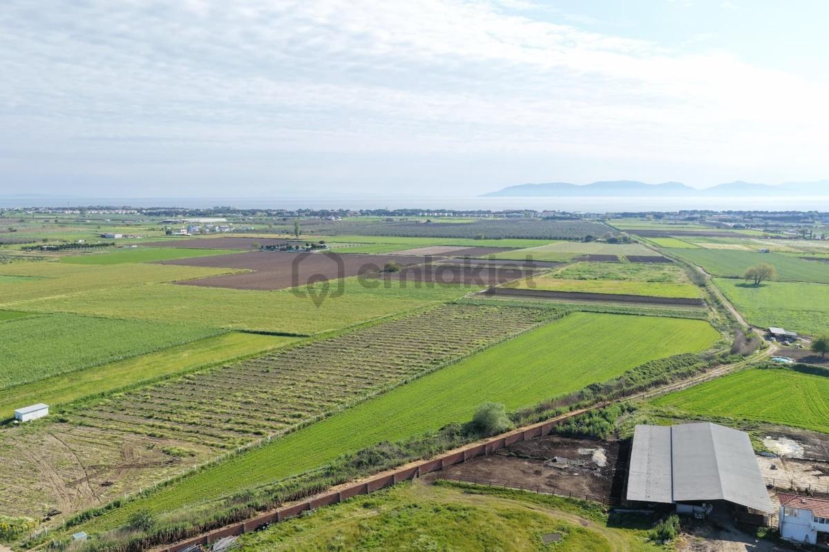 Ayvalık Altınovada Satılık 12.708 M² Arazi - 10